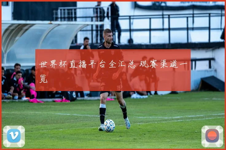 世界杯直播平台全汇总 观赛渠道一览