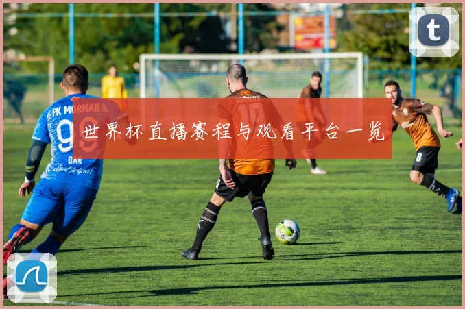 世界杯直播赛程与观看平台一览